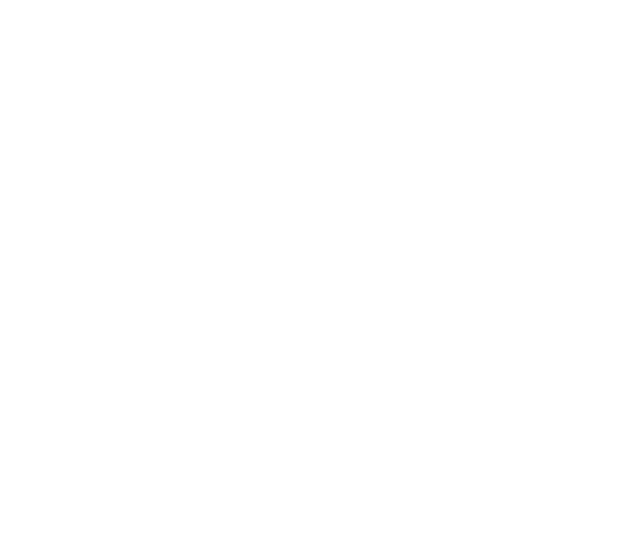 Mitjà